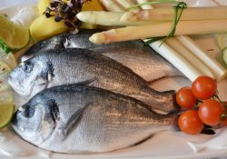 ryby a jejich dopad na zdraví