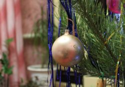 Živý vánoční strom
